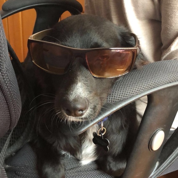 Meet your Posher, Simran - Picture 1 of 1